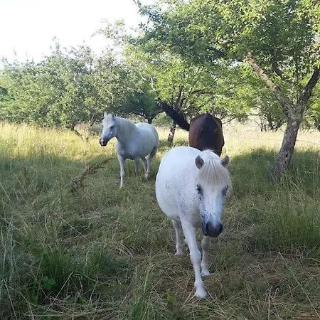 Maison Au Calme Sur Propriete De 40 Hectares Prázdninový dům