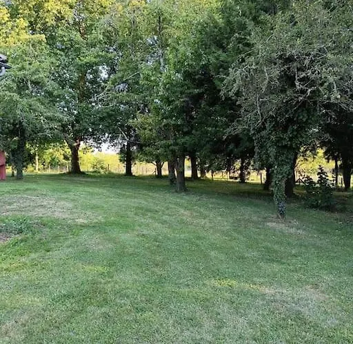 Maison Au Calme Sur Propriété De 40 Hectares * Bassillac